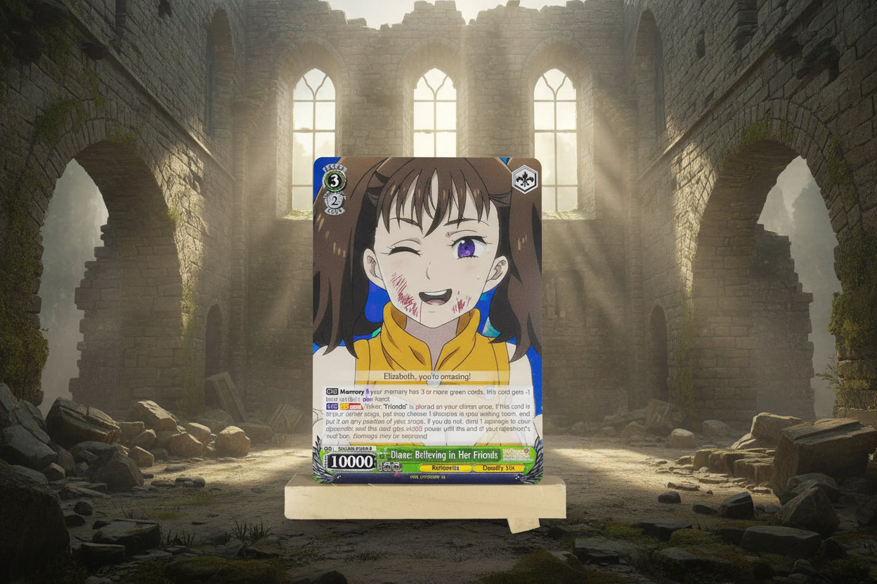 [SDS]Diane: Believing in Her Friends