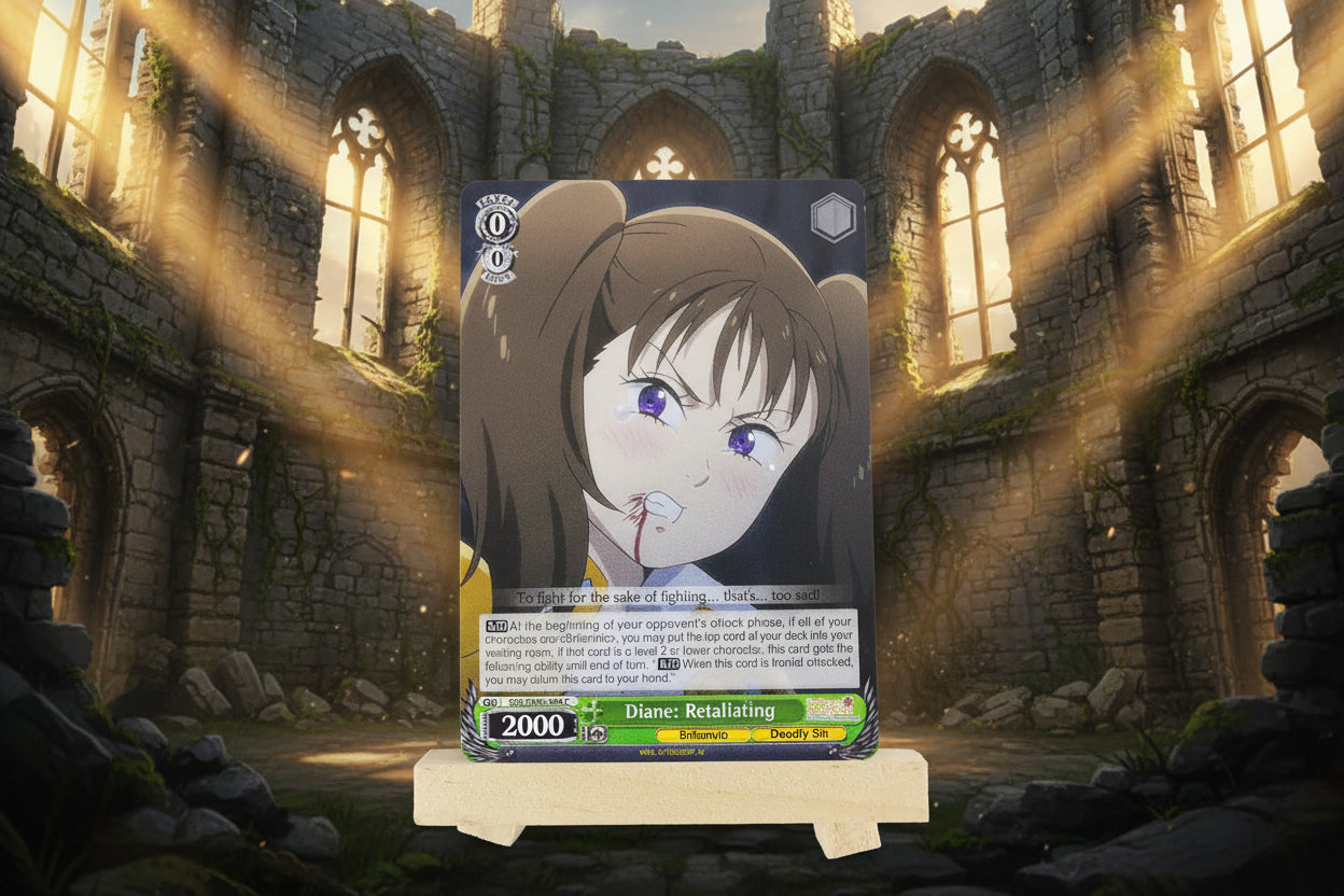 [SDS]Diane: Retalitaing