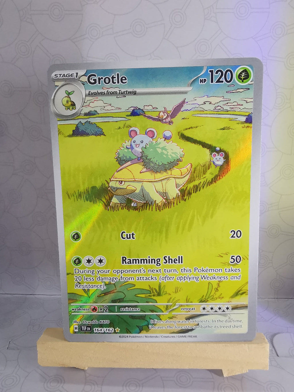 Grotle - TEF